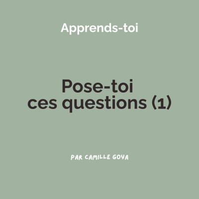 Pose-toi ces questions (1) cover