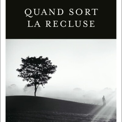 Dans la bibliothèque de Michele Folet cover