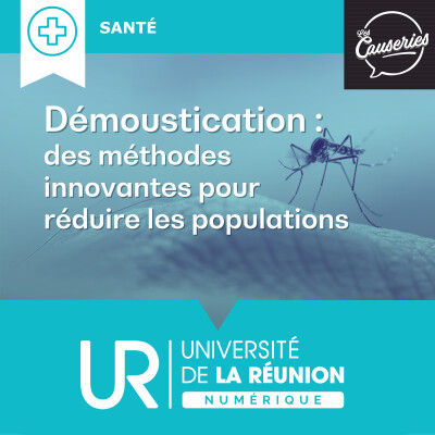 Démoustication : des méthodes innovantes pour réduire les populations cover
