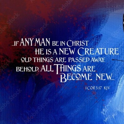 La nouvelle naissance selon la Bible cover