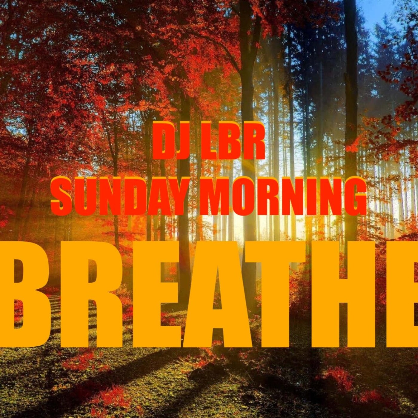 DJ LBR - THE OFFICIAL PODCAST