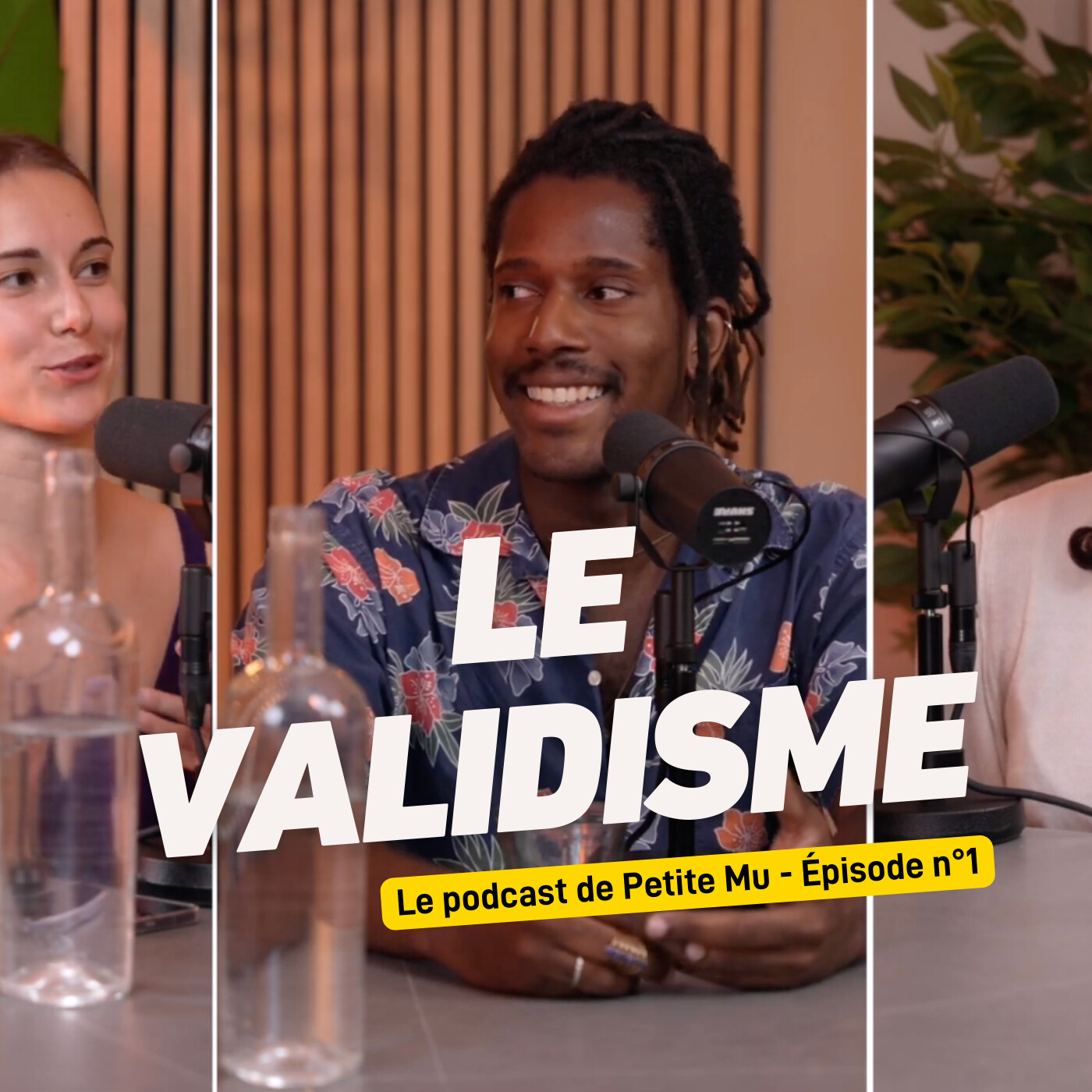 #01 Le validisme avec Chiara Kahn et Kendrys Legendrys episode artwork