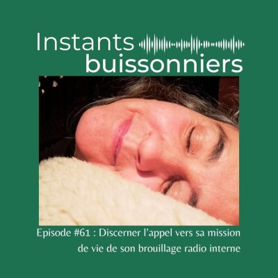 Episode 61 : Discerner l’appel vers sa mission de vie de son brouillage radio interne cover