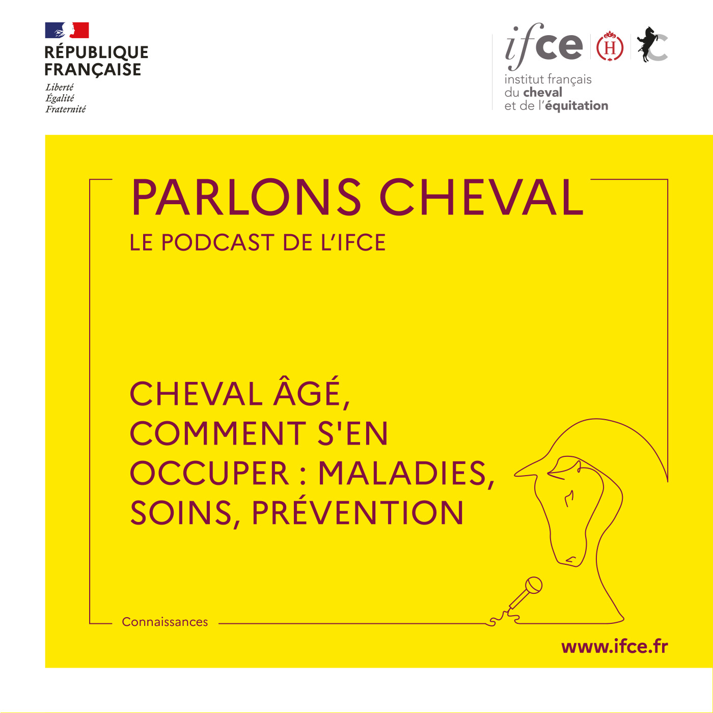 Ép. 37 | Cheval âgé, comment s'en occuper : maladies, soins, prévention - Marie Delerue