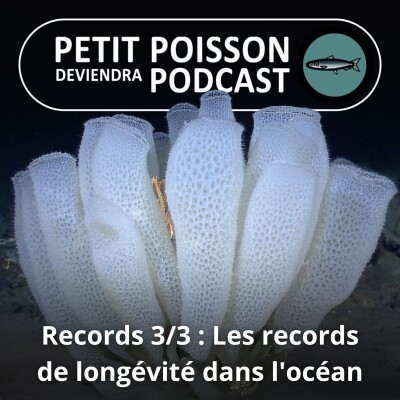 S01E07 Records 3/3 : Les records de longévité dans l'océan cover