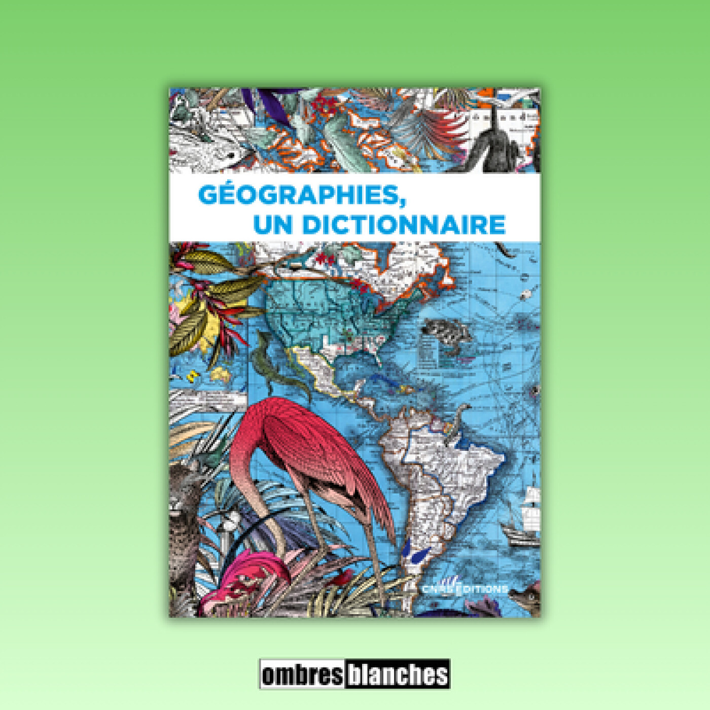 Marie Redon, Emmanuel Chauvin → Géographies, un dictionnaire