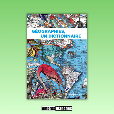 Marie Redon, Emmanuel Chauvin → Géographies, un dictionnaire cover