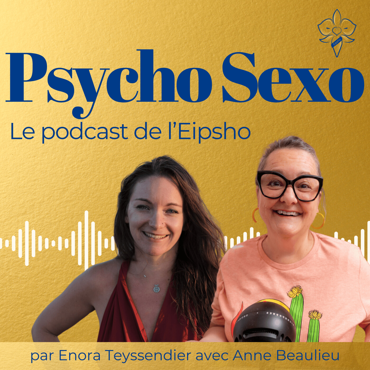 Psycho Sexo - clefs et outils pour accompagner la sexualité et lever les tabous