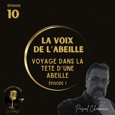 #10 - Voyage dans la tête d'une abeille épisode 1 cover