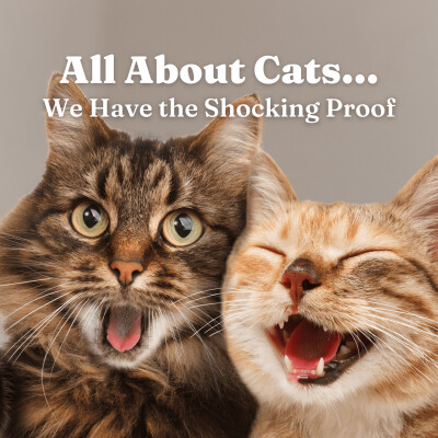 All About Cats... We Have the Shocking Proof cover