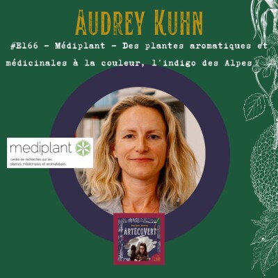 E166 - Audrey Kuhn - Médiplant - Des plantes aromatiques et médicinales à la couleur, l’indigo des Alpes cover