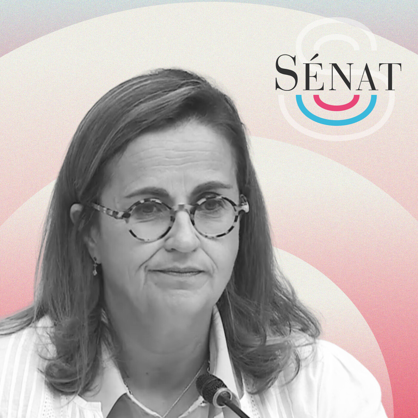 Canicule 2026 : quel diagnostic pour Météo-France, audition de Virginie Schwarz, PDG de Météo-France