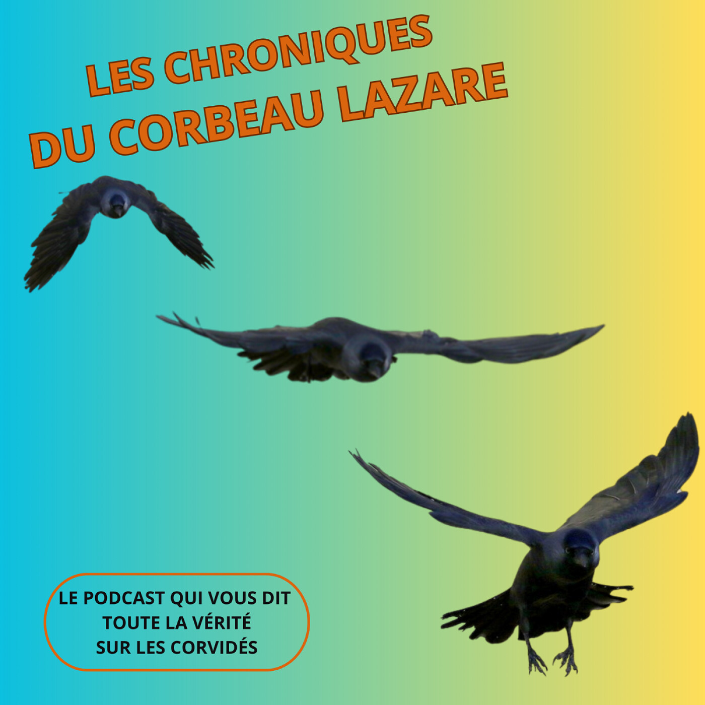 Les chroniques du corbeau Lazare