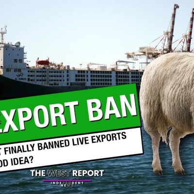 Labor finally bans live Exports | The West Reports cover