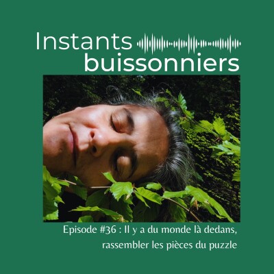 Episode 36 : Il y a du monde là dedans, rassembler les pièces du puzzle cover