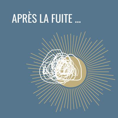 Après la fuite ... cover