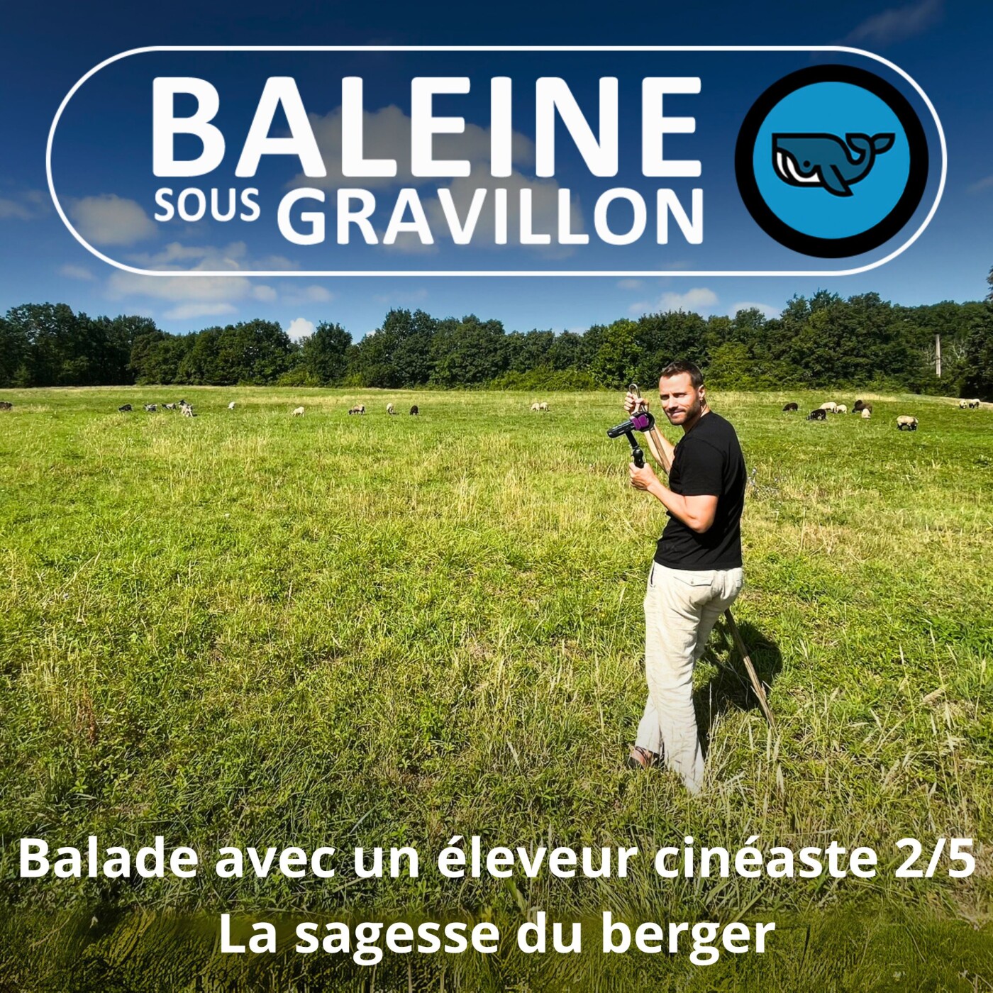 S07E06 Balade avec un éleveur-cinéaste 2/5 : Le bonheur du berger (Rémi Dupouy)