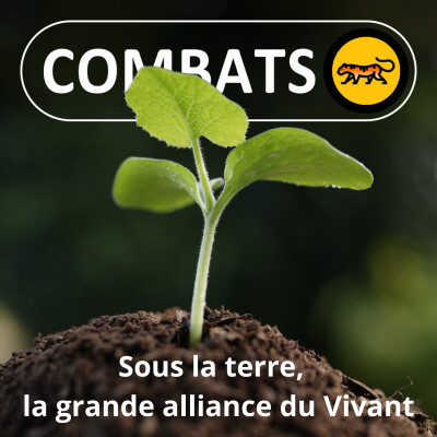 REGARDS 4/4 Sous la terre, la grande alliance du vivant (Marc-André Selosse) cover