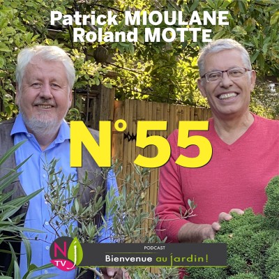 EMISSION #55 du 14 Mai 2022 - L'INTEGRALE cover