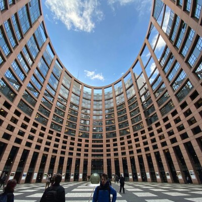 Entrevista com o eurodeputado Francisco Guerreiro dos Verdes Europeus cover