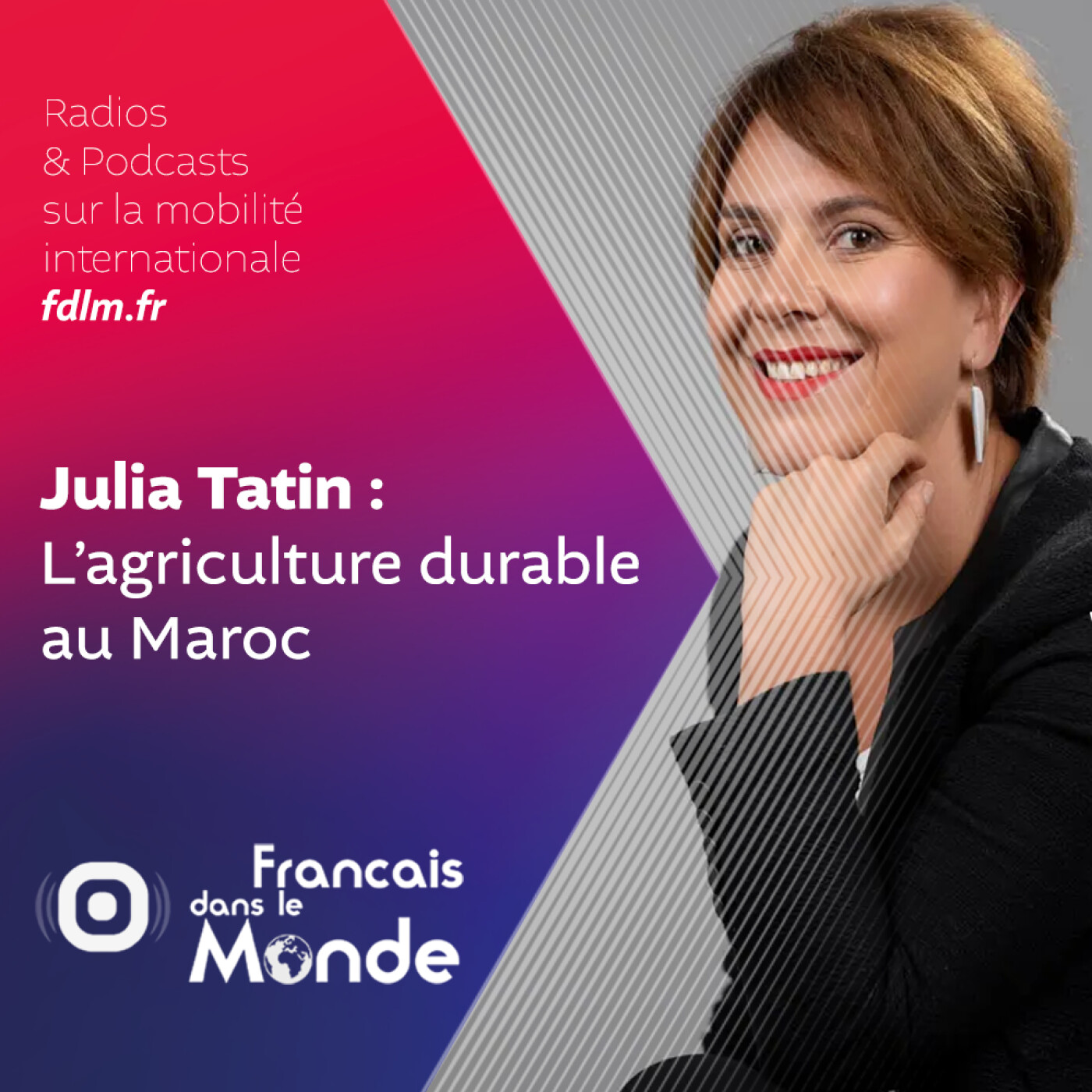 Français dans le monde