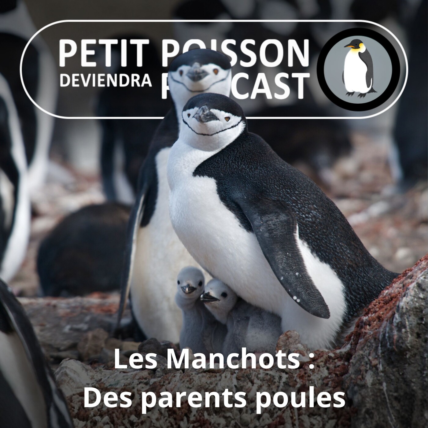 Petit Poisson deviendra Podcast