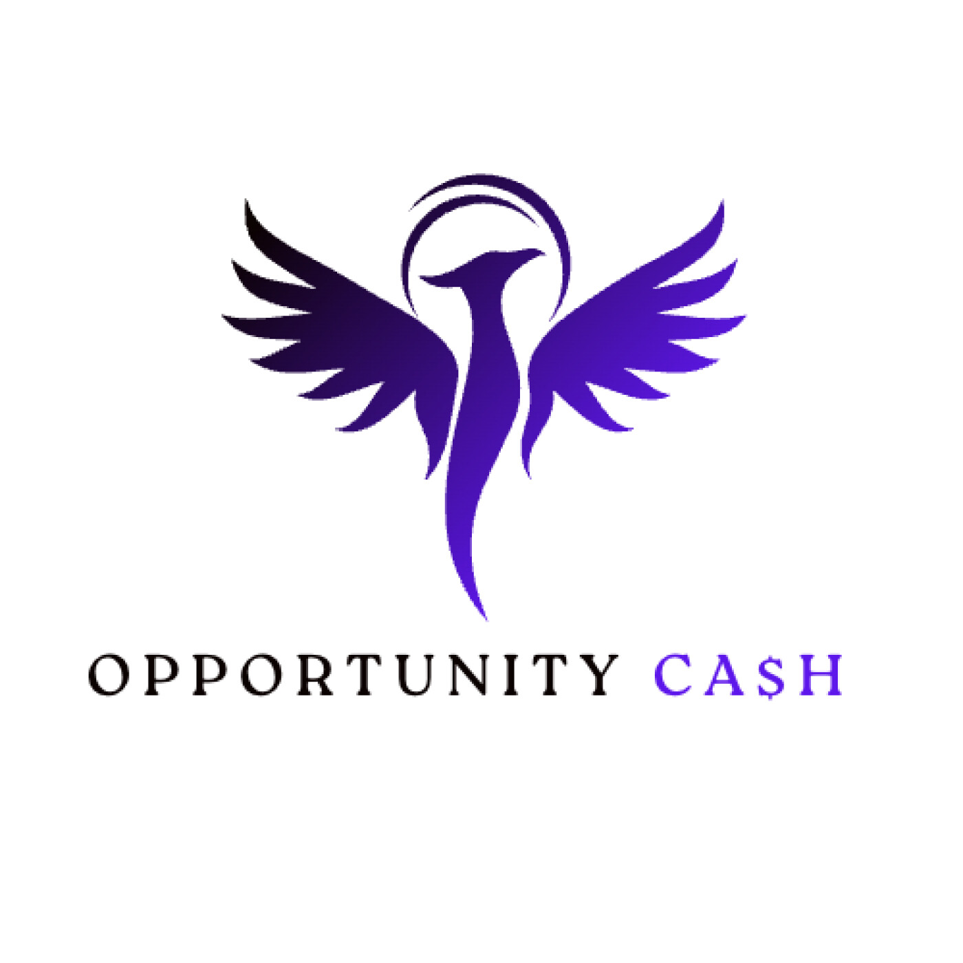 Bienvenue sur la chaîne de podcast d\' OPPORTUNITY CASH : Débloquez Votre Potentiel Financier et Personnel