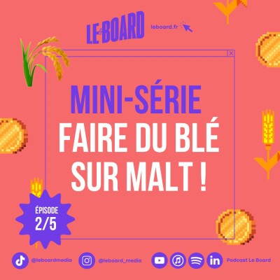 2/5 🌾- Faire du blé sur Malt! cover