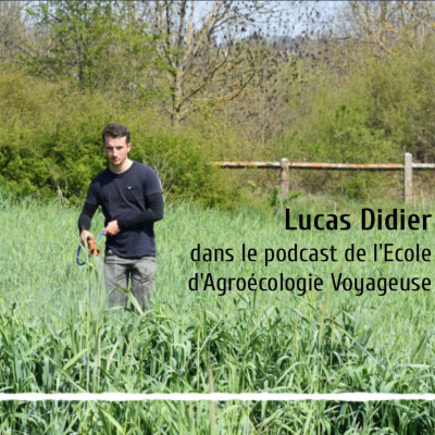 #21 Lucas Didier - Les thés de compost et l'Agroécologie cover