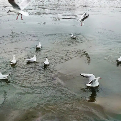 Une Pause s'impose cover