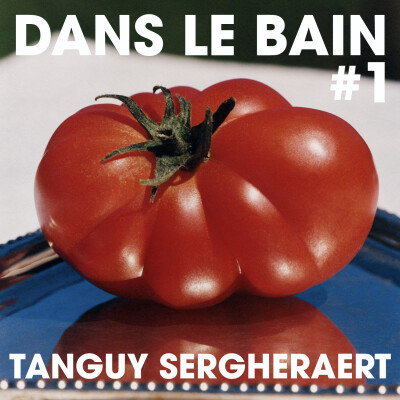 Dans Le Bain #1 - Tanguy Sergheraert cover