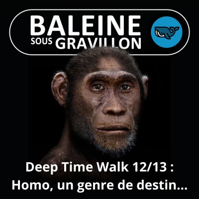 S06E73 La Marche du temps profond 12/13 : Ecce homo, le destin d'un genre... spécial cover