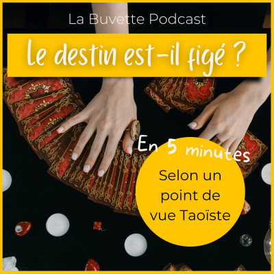 En 5 Minutes • Votre DESTIN est-il FIGÉ ? cover