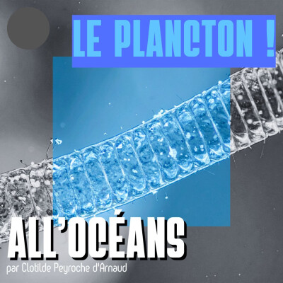 Le Plancton ! cover