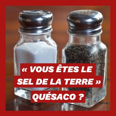 Comment ça « vous êtes le sel de la terre » ? cover