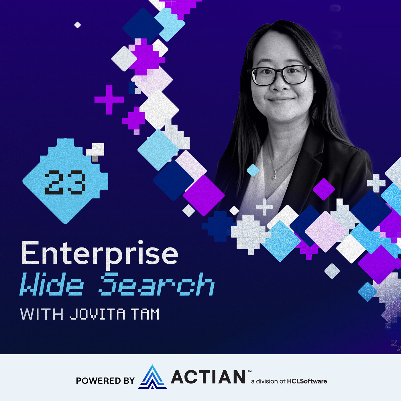 Enterprise Wide Search 23: Jovita Tam - The Lawyer Who Gets Data, AI, and Culture episode artwork