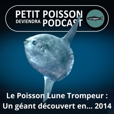 S05E01 Le Poisson-lune trompeur, un géant découvert... en 2014 cover