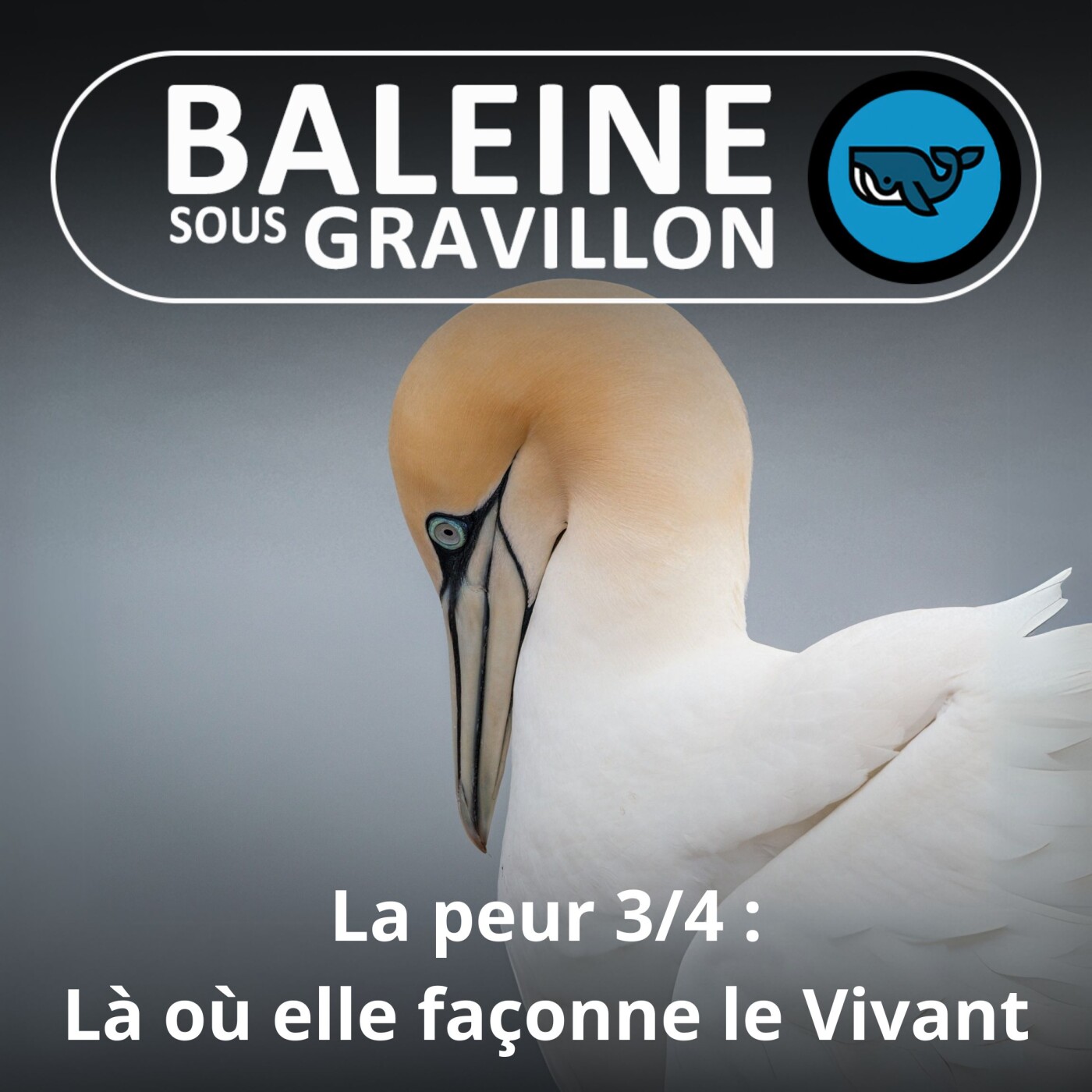 S06E03 La peur 3/4 : Là où elle façonne le Vivant