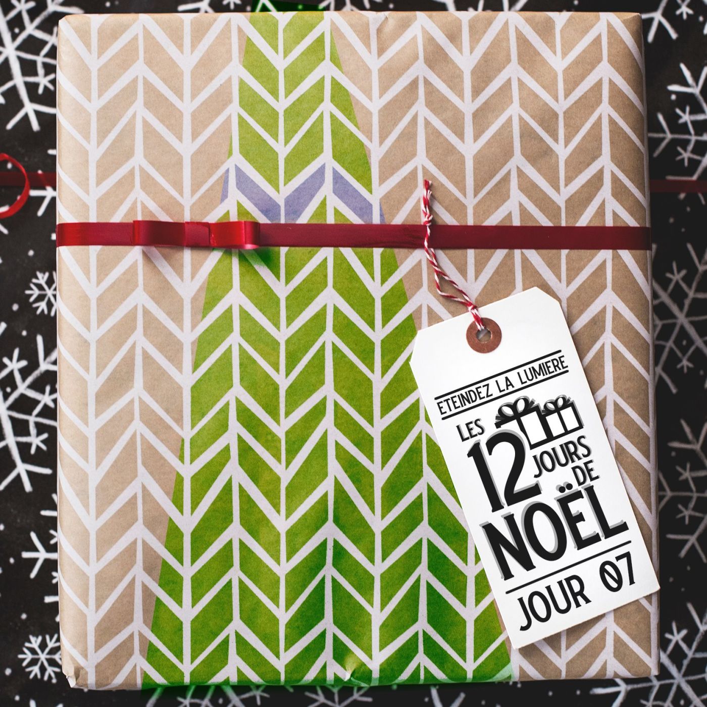 Les 12 Jours de Noël - Jour 7 - Priscilla, folle du désert