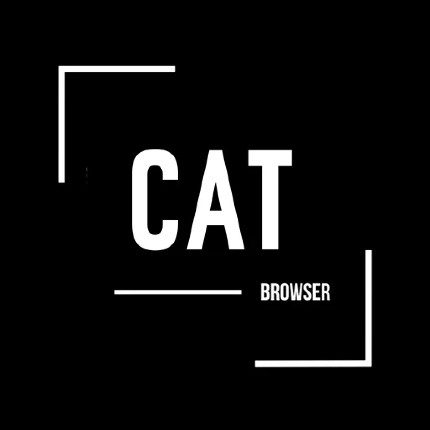 🔐 Experience Safe, Fast, and Fun Browsing with Cat Browser