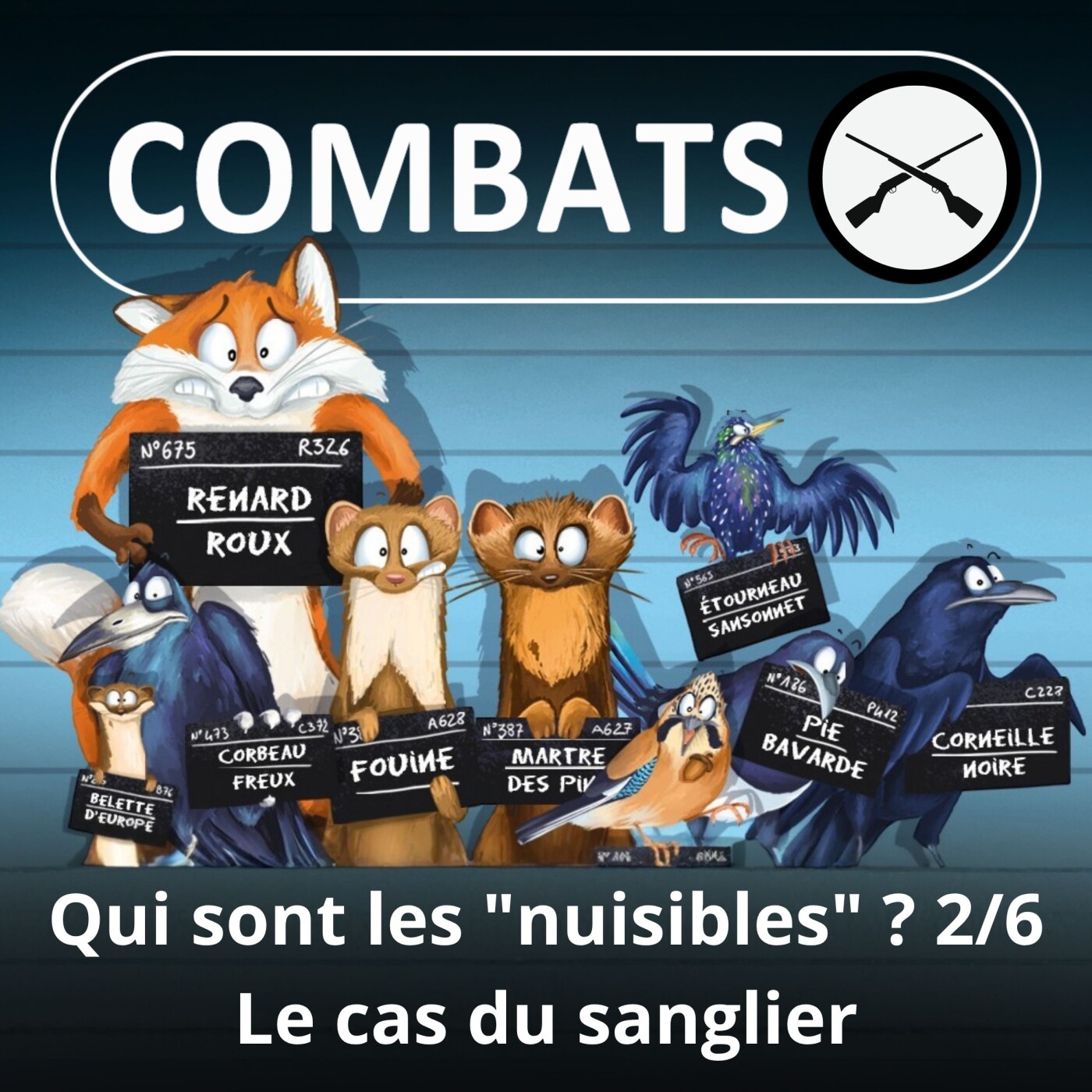 S05E72 Les "nuisibles" 2/6 : Le sanglier, un cas à part (Marc Mortelmans)