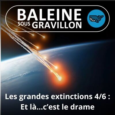 S03E17 Grandes extinctions de masse 4/6 : Et là... c'est le drame, ou quand la Terre fait table rase de son passé (Sylvie Crasquin) cover