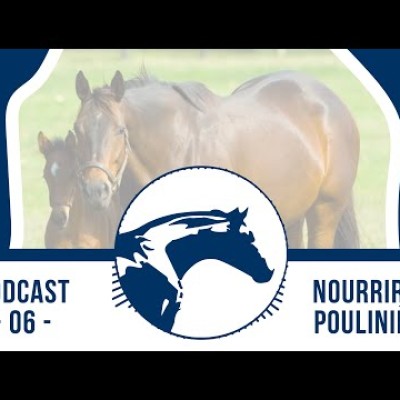 🎙 Podcast by Reverdy #6 | Nourrir la poulinière cover