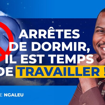 ARRETE DE DORMIR, il est temps de travailler ! cover