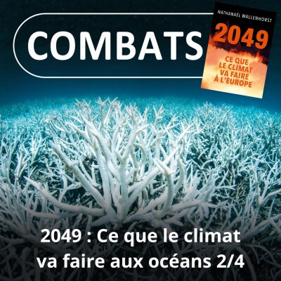 S05E30 2049 : Ce que le climat va faire à l'Europe 2/4, océan... danger ! (Nathanaël Wallenhorst) cover