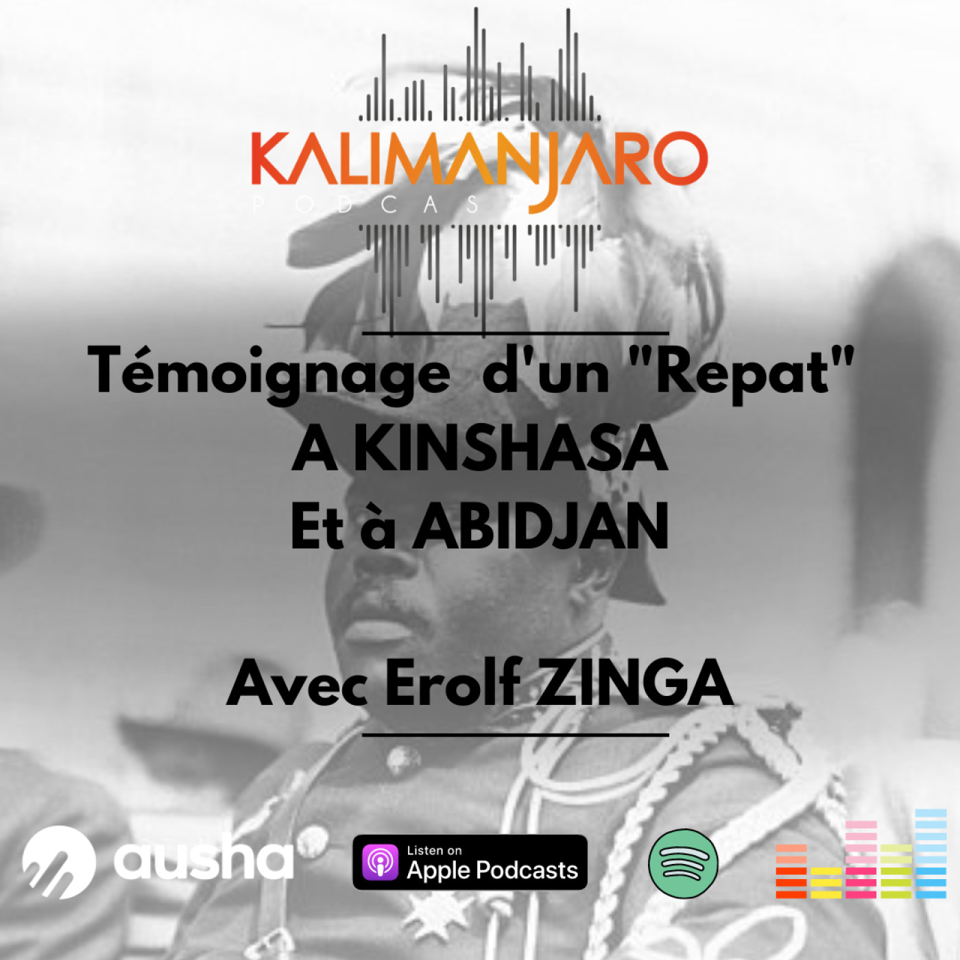 #176 Back To Africa : Témoignage d'un Repat à Kinshasa (RDC) et à Abidjan (CIV) avec Erolf ZINGA - episode artwork