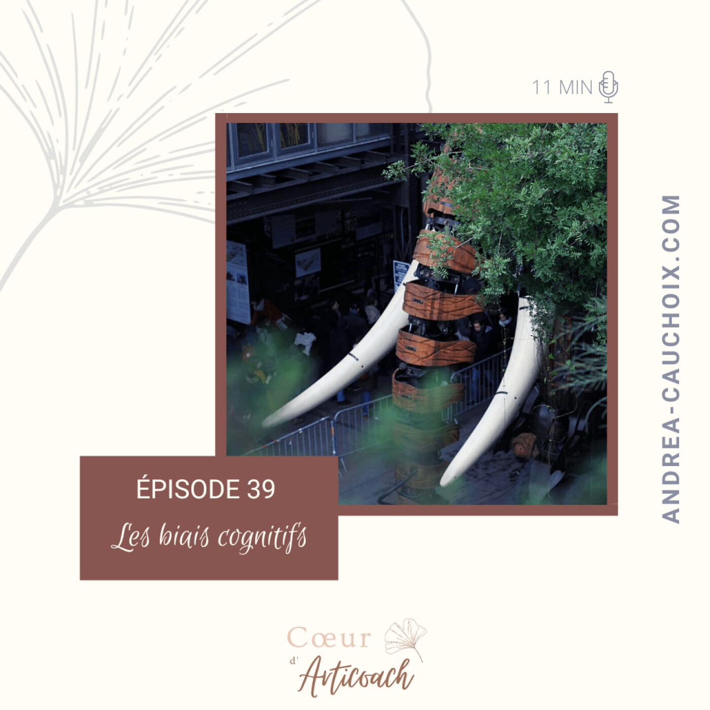 Cœur d\'articoach