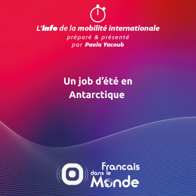 Un job d'été en Antarctique cover