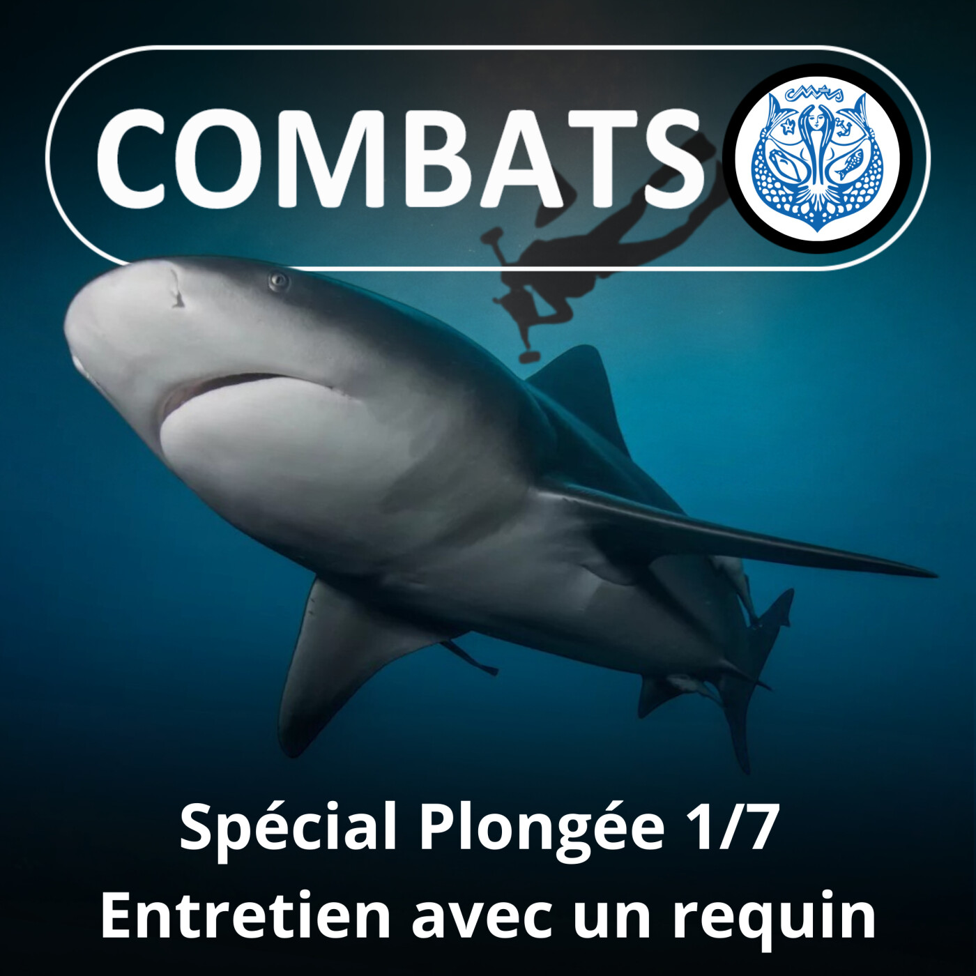 SPÉCIAL PLONGÉE 1/7 : Entretien avec un requin (Steven Surina)