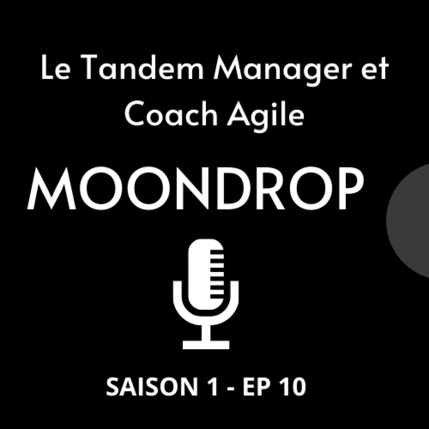 Le tandem Manager et Coach Agile